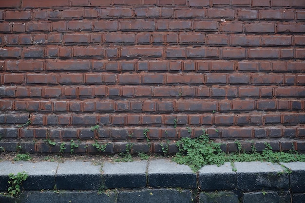 Een bakstenen muur waar onkruid uit groeit