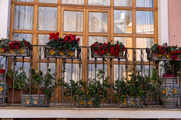 Een balkon met een verscheidenheid aan potplanten en bloemen