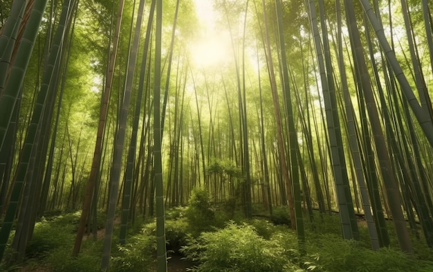 Een bamboe boslandschap gedetailleerd jungle achtergrondbehang bospatroon ai gegenereerd