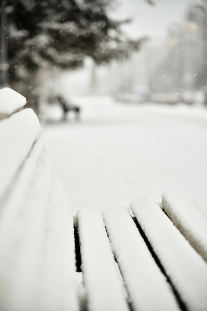 Een bankje in de sneeuw De stad is in de winter