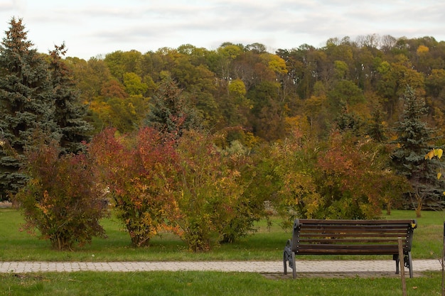 Een bankje in een herfstpark