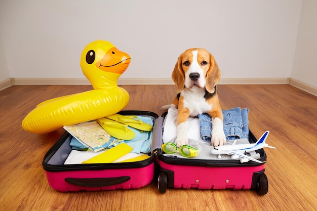 Foto een beagle hond bij een koffer met dingen en items voor een zomervakantie op zee