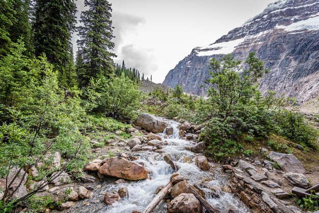 Foto een beek die stroomt van de glacier trail bij mount edith cavell in jasper national park alberta