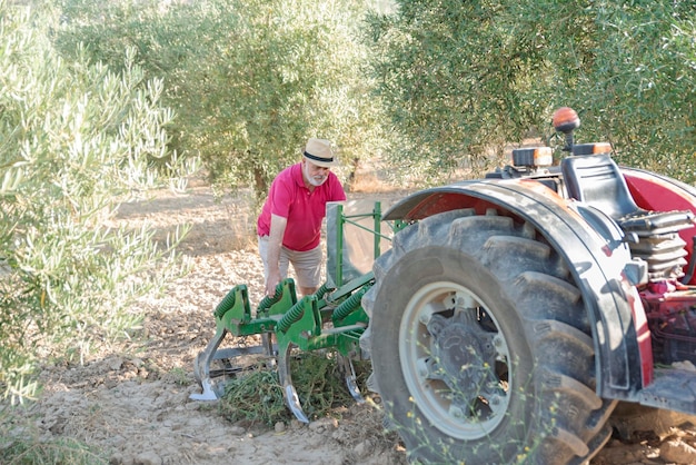 Foto een bejaarde boer aan het werk met een tractor in de olijfgaard