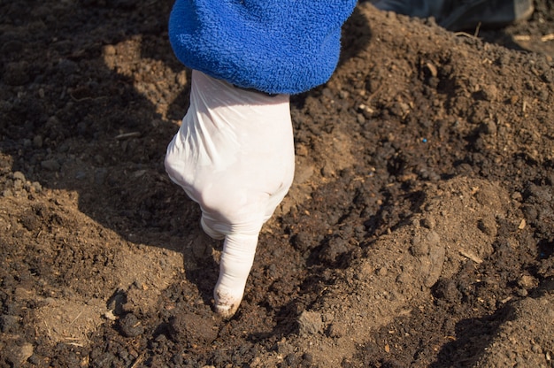 Een bejaarde vrouw in rubberhandschoenen zaait zaden in de grond in haar tuin