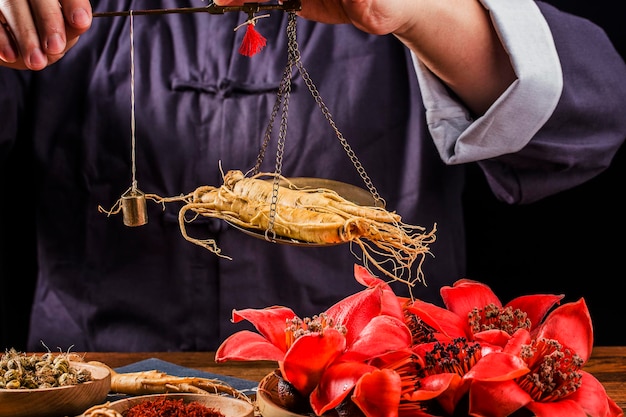 Een beoefenaar van de Chinese geneeskunde selecteert ginseng traditionele Chinese geneeskunde