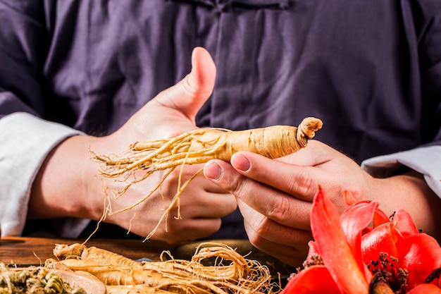 Een beoefenaar van de Chinese geneeskunde selecteert ginseng traditionele Chinese geneeskunde