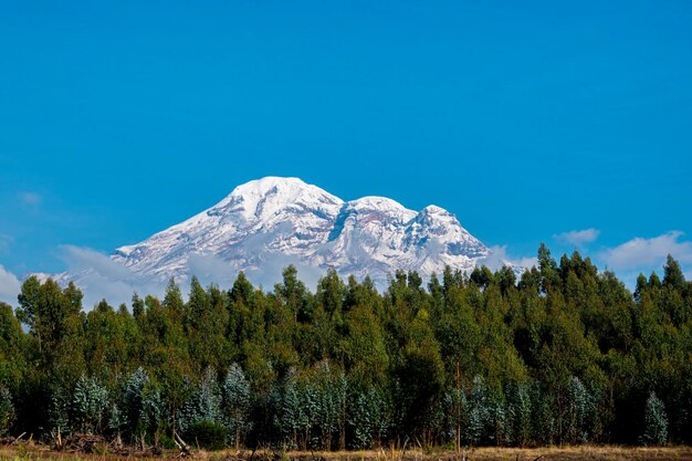 Een berg met sneeuw erop en bomen op de achtergrond