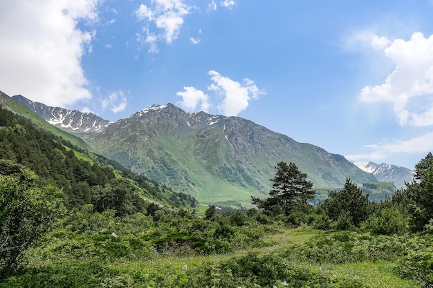 Een bergdal in de kloof van de rivier de CherekBalkar in de buurt van de Ushtulu Kaukasus