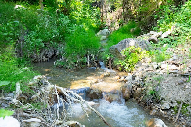 Een bergrivier in een tropisch klimaat met stromend water en een kleine waterval Landschap