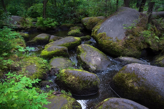 Een bergrivier met enorme stenen met groen moswild bos van taiga