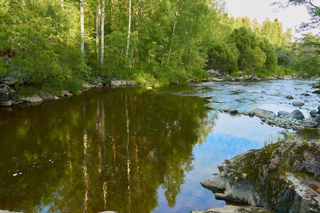 Een bergrivier tussen rotsen en bossen met een weerspiegeling van de lucht in het water