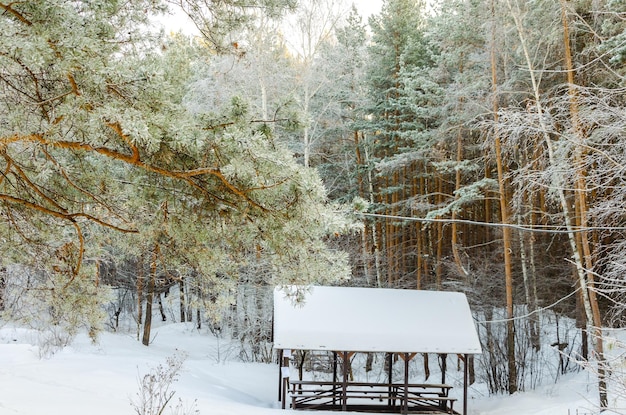 Een besneeuwd landschap met een klein schuurtje midden in het bos