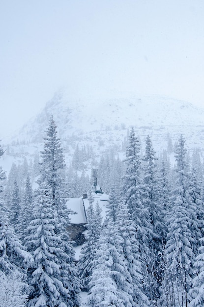 Een besneeuwde berg is bedekt met sneeuw en de sneeuw is bedekt met sneeuw.