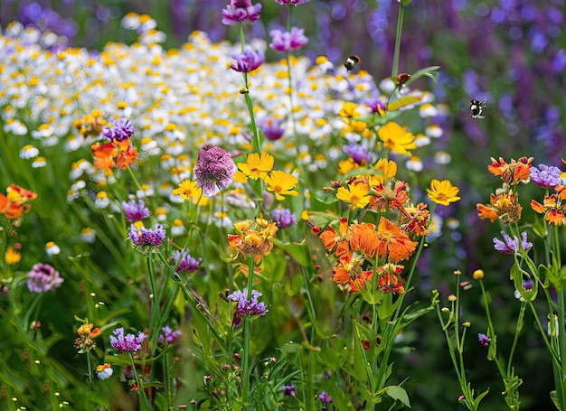 een bijen- en bloementuinlandschap