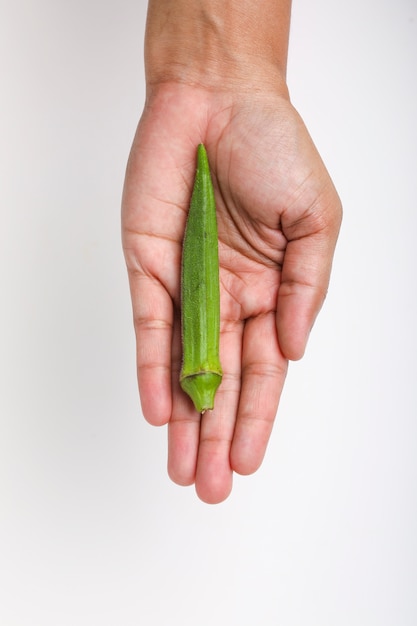 Een biologische en gezonde okra of damesvinger in de hand