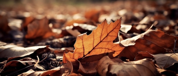 Een blad op de grond in de herfst