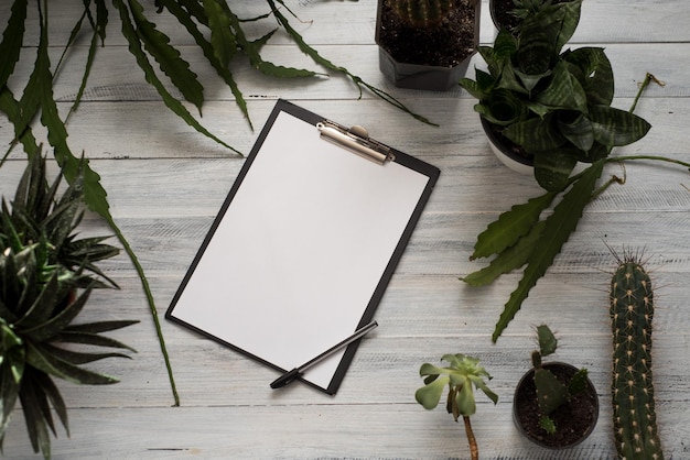 Een blanco geopend papieren notitieboekje en pen met veel planten in pot op de witte houten achtergrond. Flatlay kopie ruimte