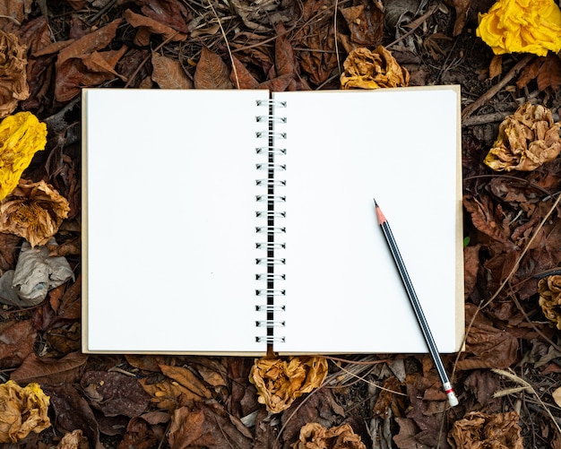 Een blanco notitieboekje en een potlood op een geel, rood, oranje blad en herfst gedroogde bloemen in de herfst natuur achtergrond bovenaanzicht