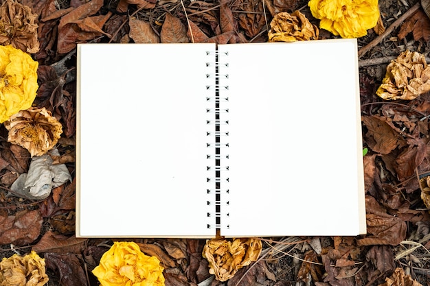 Een blanco notitieboekje geplaatst op een geel, rood, oranje blad En herfst gedroogde bloemen in de herfst natuur achtergrond bovenaanzicht