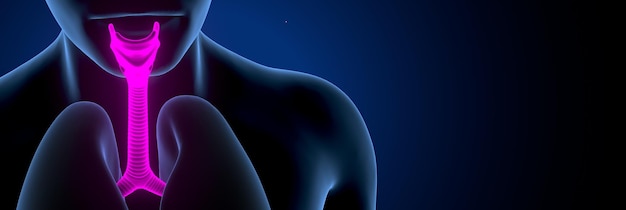 een blauw beeld van een menselijk lichaam met een blauwe achtergrond