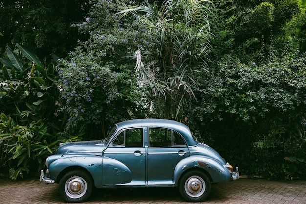 een blauwe auto met de kap open is geparkeerd voor een bos