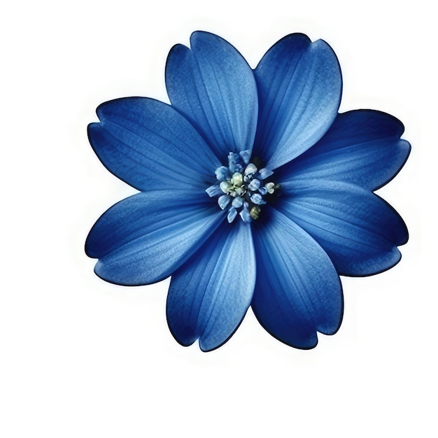 Een blauwe bloem met het woord blauw erop