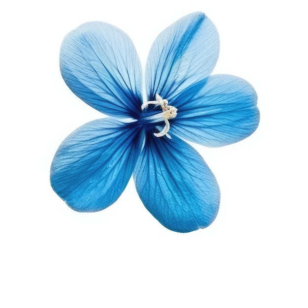 Een blauwe bloem met het woord "blauw" erop.