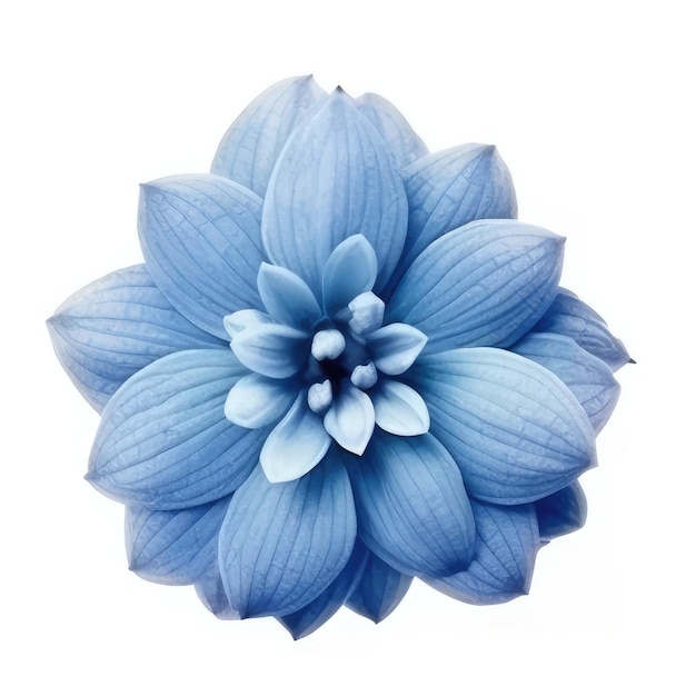 Een blauwe bloem met het woord blauw erop