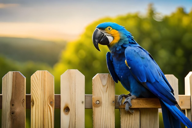 Een blauwe en gele ara zit op een houten hek.