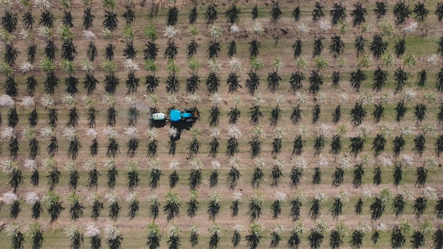 Een blauwe tractor ploegt een veld met bomen op de achtergrond.