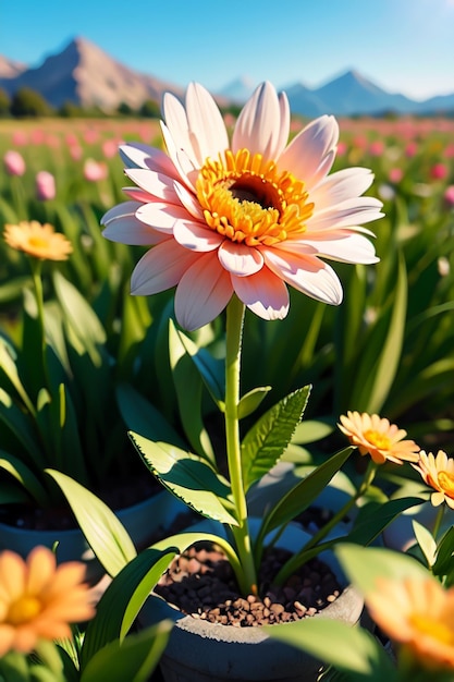 Een bloem in een bloemenveld