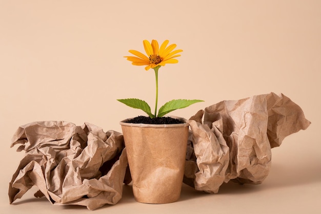 Een bloem in een papieren bekertje gevuld met aarde op een beige achtergrond Het concept van milieuvervuiling Landvervuiling