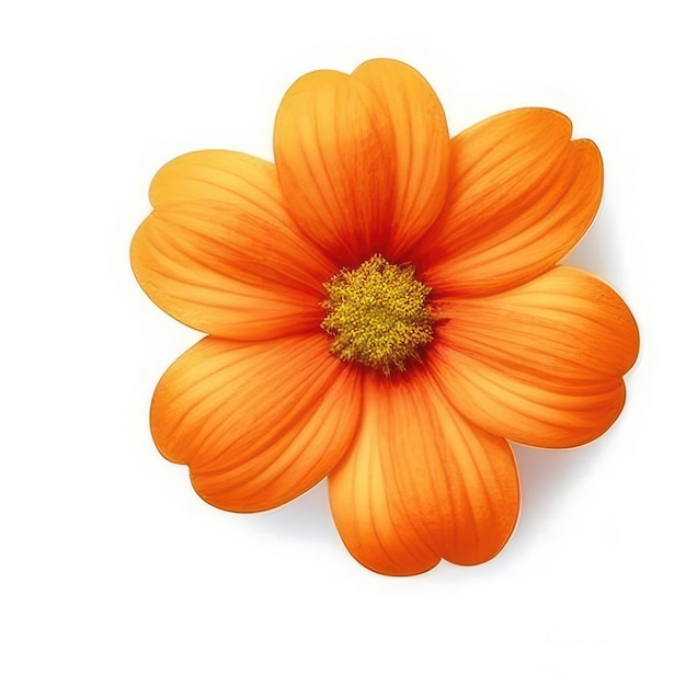 Een bloem met het gele midden is oranje