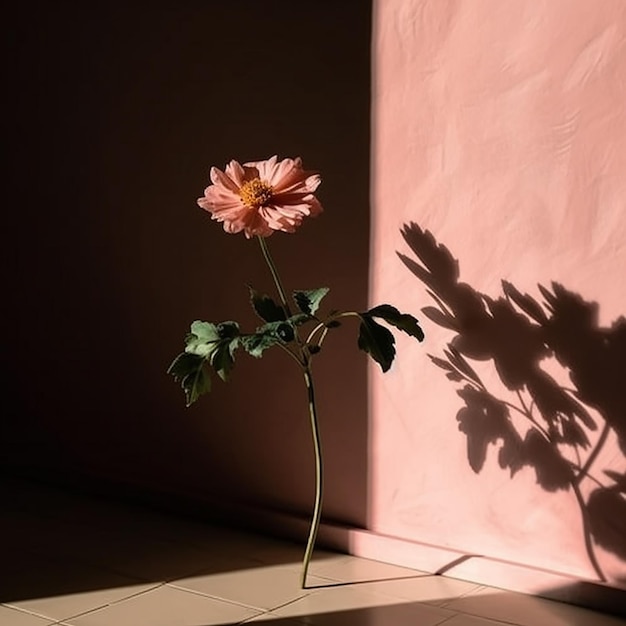 Een bloem staat voor een roze muur waar de zon op schijnt.