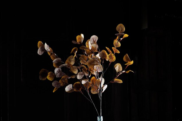 Een bloemenboeket in een kristallen vaas met zonlicht