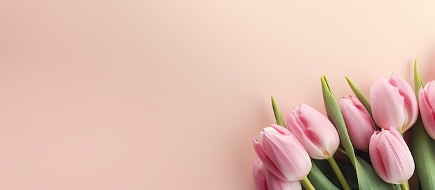 Een bloemensjabloon met roze tulpen bloemen close-up op een beige achtergrond Het ontwerp omvat