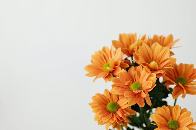 Foto een boeket bloemen met een witte achtergrond