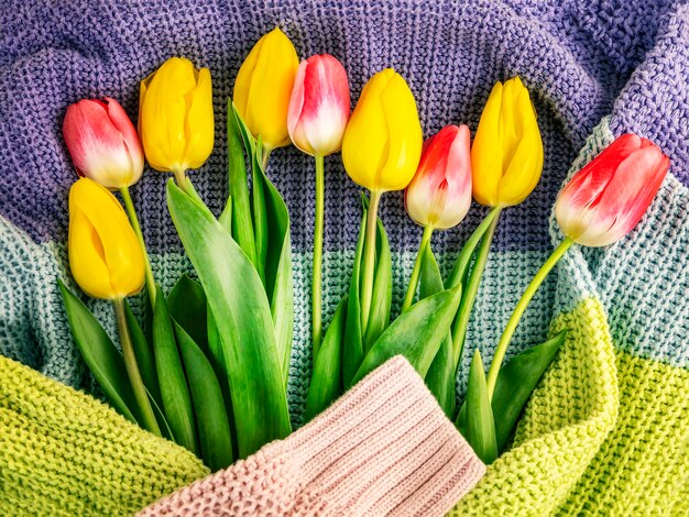 Een boeket gele en roze tulpenbloemen op de achtergrond van een kleurrijke gestreepte trui van een vrouw