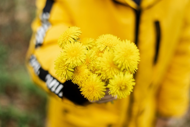 Een boeket gele paardebloemen in de hand van een kind.