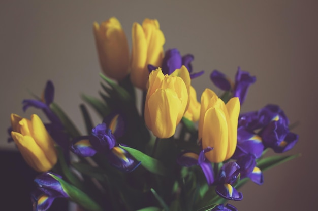 Een boeket gele tulpen en paarse viooltjes staat tegen een grijze achtergrond