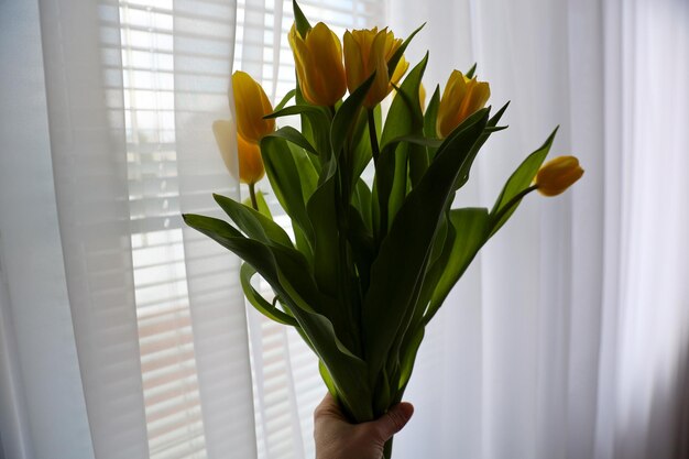 Een boeket gele tulpen in de hand