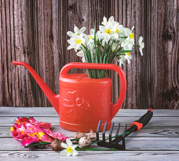 Een boeket narcisbloemen in een oranje gieter, zaailingen en tuingereedschap voor plantenzaden