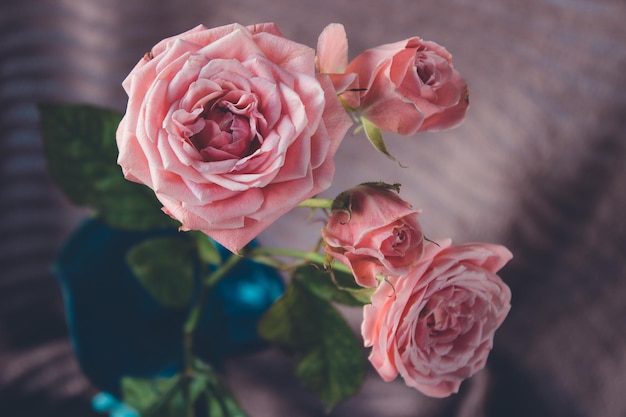 Een boeket roze rozen in een vaas tegen de achtergrond van wollen stof.