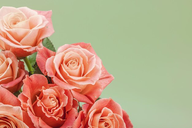 Foto een boeket rozen in een vaas op een pastelgroene achtergrond bloomin