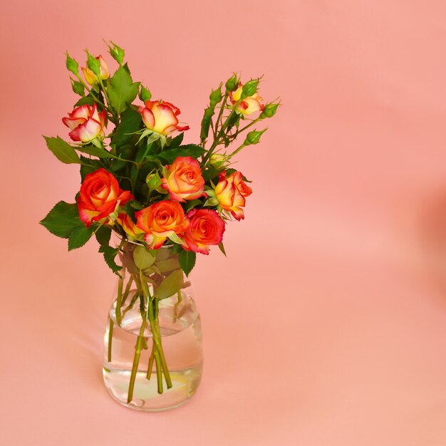 Een boeket rozen in glazen vaas op roze achtergrond.