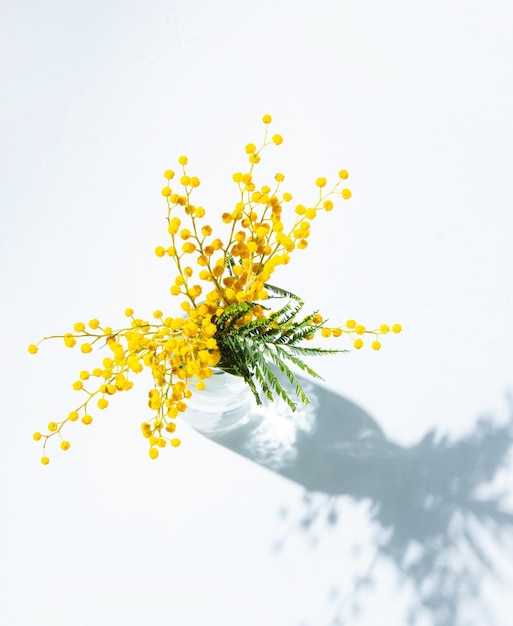 Een boeket van gele mimosa bloemen staat in een glazen vaas met schaduw op een witte achtergrond concept van 8 maart happy womens day bovenaanzicht en kopieer spacexA