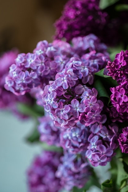 Een boeket van lila close-up