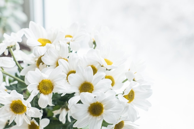 Een boeket van margrieten close-up bij het raam tegen de achtergrond van sneeuw