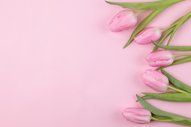 Een boeket van mooie roze tulpen bloemen op een trendy roze achtergrond Voorjaarsvakantie bovenaanzicht vrije plaats bloemenframe